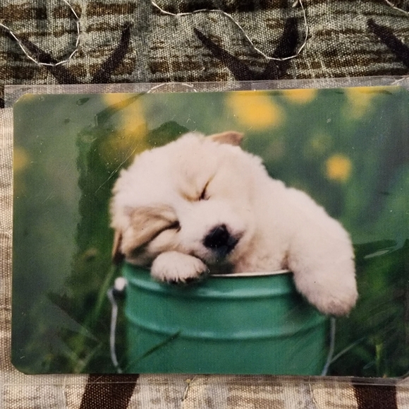 New White Fluffy Puppy Dog Magnet Graphic Art Print 3.5"x3" - Picture 1 of 2